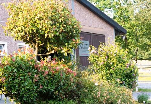 Foto - andere in Bottrop zur Miete