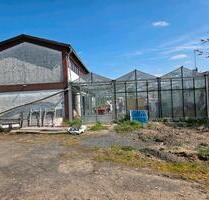 Gewächshaus , Hallen, Garagen , Unterstellfläche. Aussenliegend . - Schöneck