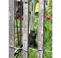 In Murg Zentr ab 426 Eigentumswhg: Besichtigungen am 17.1.