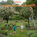 Foto - Schrebergarten - kein Gartenhaus erlaubt!