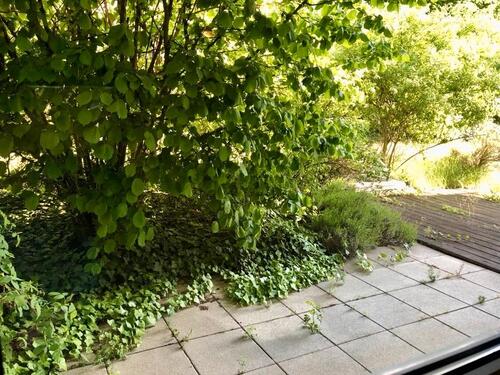 Foto - Etagenwohnung zur Miete in Frankfurt am Main