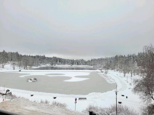 Foto - Urlaub im Harz - Familienurlaub mit Hund