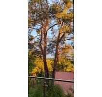 Ein Zuhause im Grünen - 790,00&nbsp;EUR Kaltmiete, ca.&nbsp; 59,00&nbsp;m&sup2; in Burgthann (PLZ: 90559)