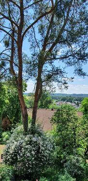 Foto - 2 Zimmer Dachgeschoßwohnung in Burgthann