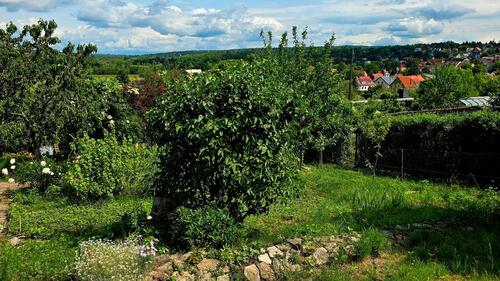 Foto - Grundst&uuml;ck in Erfurt zur Miete