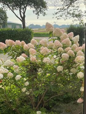 Foto - Einfamilienhaus in Oldenburg in Holstein