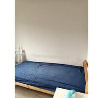 Nachmiete ab April - 300,00&nbsp;EUR Kaltmiete, ca.&nbsp; 20,00&nbsp;m&sup2; in Dresden (PLZ: 01219) Prohlis