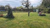Foto - Grundst&uuml;ck in Sondershausen