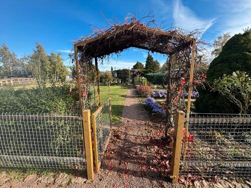 Foto - Schrebergarten in der Gartensparte Hohe Brücke e.V. In Köthen