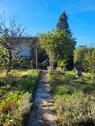 Foto - Pachtgarten Marbacher Höhe - neue Bilder