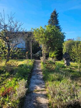 Foto - Pachtgarten Marbacher Höhe - neue Bilder
