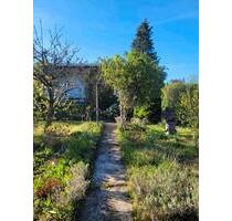 Pachtgarten Marbacher Höhe - neue Bilder - Erfurt