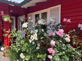 Foto - Einfamilienhaus in Himmelpforten