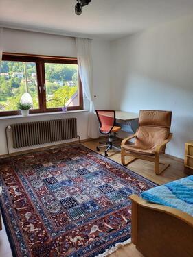 Foto - Freies Zimmer in Heidelberg in einer ruhigen 2er Mädchen-WG 14m2