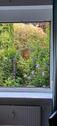 Foto - Gartenwohnung - 470.000,00&nbsp;EUR Kaufpreis, ca.&nbsp; 101,00&nbsp;m&sup2;