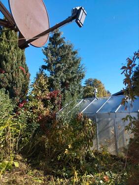 Foto - Grundstück in Hecklingen zur Miete