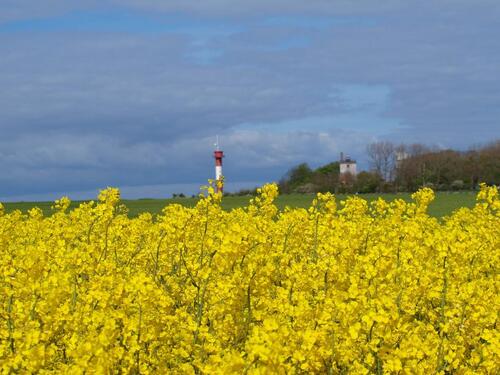 Foto - andere zur Miete in Fehmarn