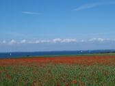 Foto - andere in Fehmarn
