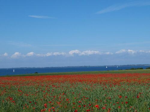 Foto - andere in Fehmarn