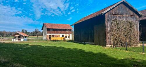 Foto - Einfamilienhaus in Egglham zum Kaufen