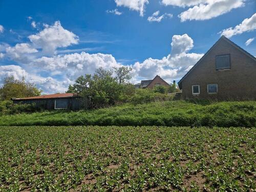 Foto - Einfamilienhaus in Gelting