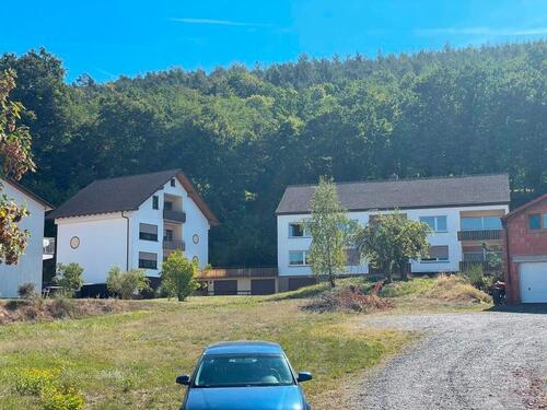 Foto - 2 Häuser-1 Preis 2 FH + MHF selbstnutzen+vermieten Großheubach