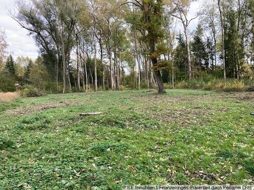 Foto - Ideales Grundstück für eine Mikro Farm