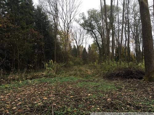 Foto - andere in Ingolstadt zur Miete