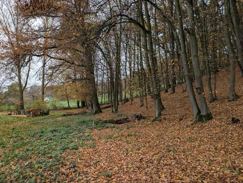 Foto - Einfamilienhaus in Hauneck zum Kaufen