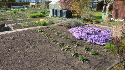 Foto - Grundst&uuml;ck in Bad Langensalza