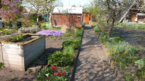 Foto - Grundst&uuml;ck in Bad Langensalza zur Miete