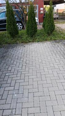 Foto - 2 Parkplätze in Nollingen - 35,00&nbsp;EUR Miete,