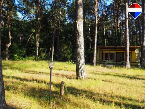 Foto - Erholungsgrundstück - Ihr Sommertraum im grünen Rehfelde