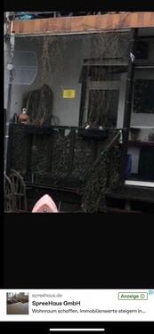 Foto - 2 Zimmer Erdgeschoßwohnung in Leipzig