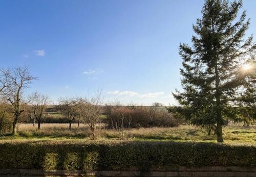 Foto - 2 Zimmer Erdgeschoßwohnung in Mainz