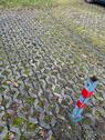 Foto - andere zur Miete in Balingen