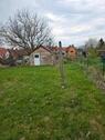 Foto - Kleingarten Nähe Erfurt, Pachtgarten, Garten
