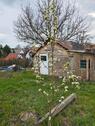 Foto - Grundst&uuml;ck zur Miete in Amt Wachsenburg
