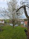 Foto - Grundst&uuml;ck in Amt Wachsenburg zur Miete