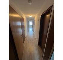 DG Wohnung in Korb - 800,00 EUR Kaltmiete, in Korb (PLZ: 71404)