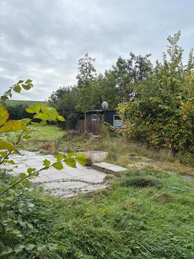 Foto - andere in Butjadingen