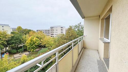 Foto - noch in diesem Jahr ins neue Zuhause