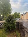 Foto - Etagenwohnung in Neuwied zur Miete