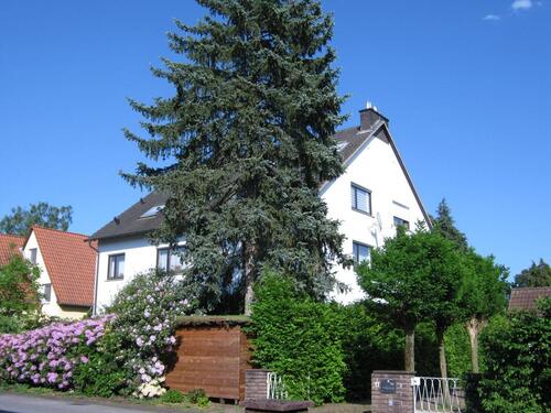 Foto - 7 Zimmer Doppelhaushälfte zum Kaufen in Steinhagen