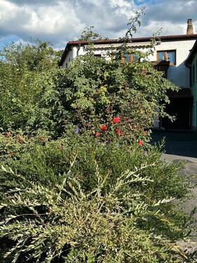 Foto - 7 Zimmer Einfamilienhaus zum Kaufen in Sonneberg