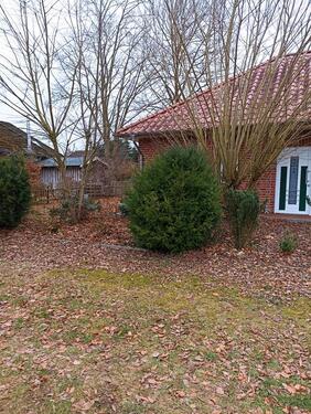 Foto - 3 Zimmer Bungalow zur Miete in Stuhr