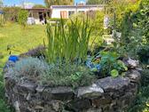 Foto - Traumhafter Pachtgarten Kleingarten Garten mit Laube 60 qm
