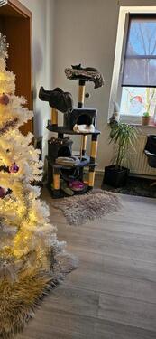 Foto - Etagenwohnung zur Miete in Magdeburg