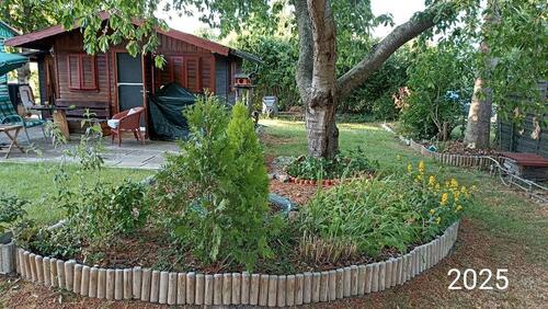 Foto - Garten zu verpachten in Vienenburg