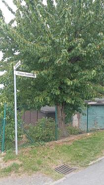 Foto - Grundstück zur Miete in Bad Harzburg